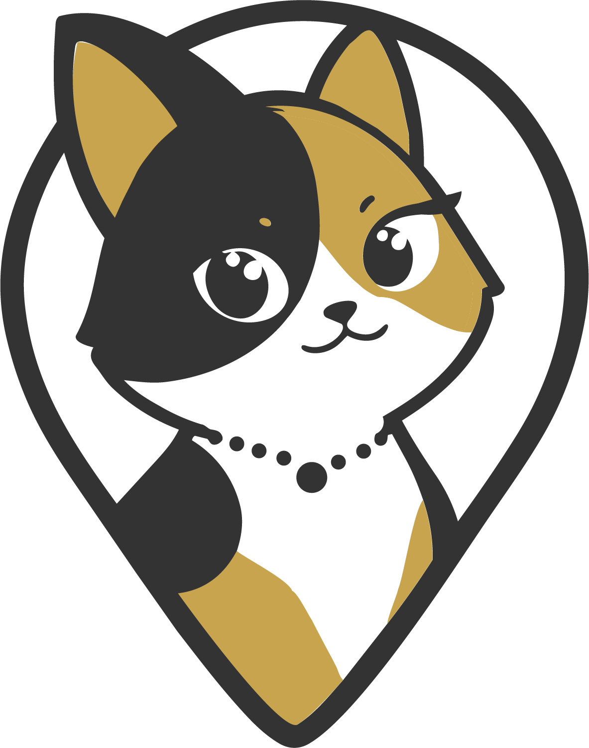 Moka, le chat de SPAWT